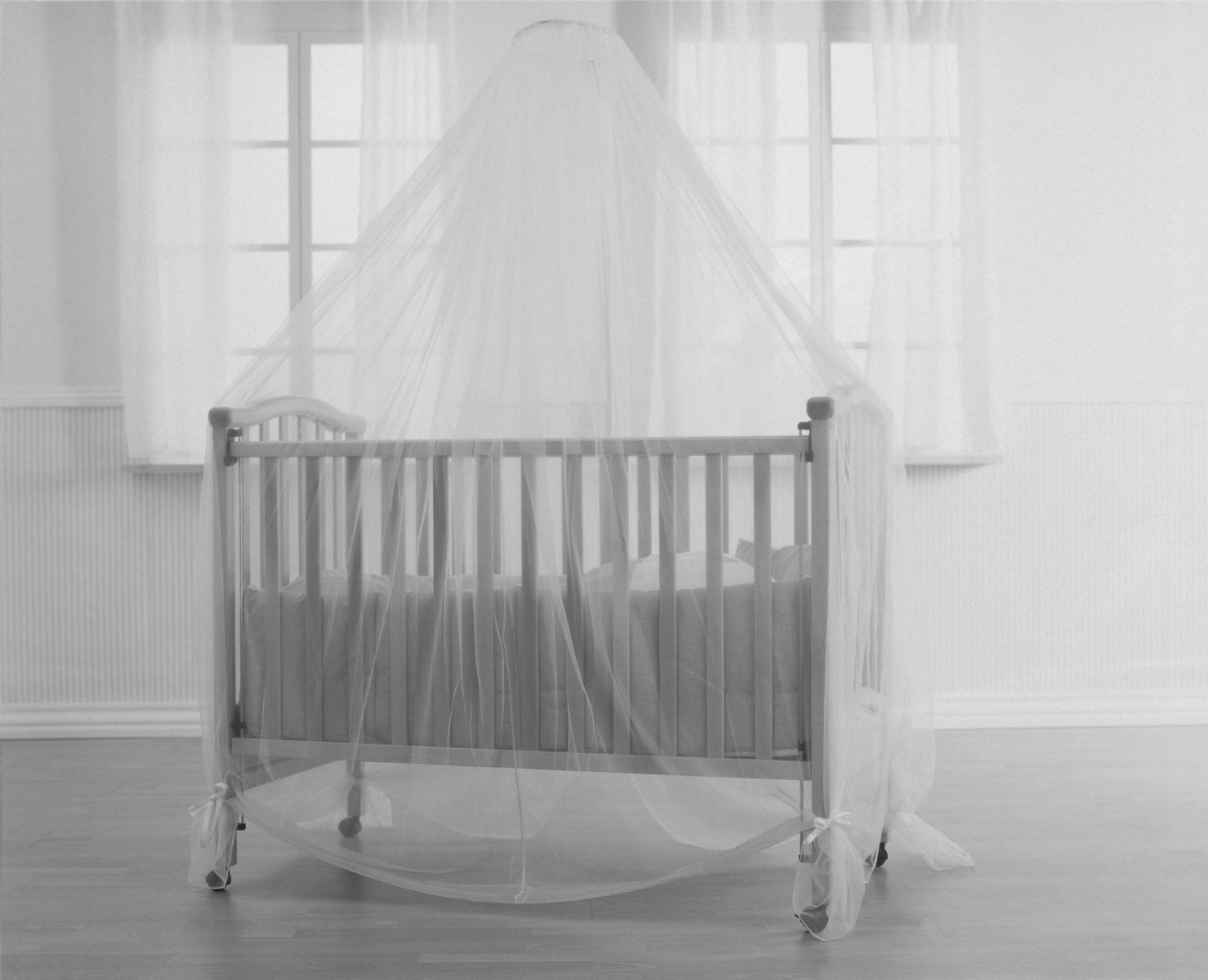 BabyDan sääsevõrk voodile